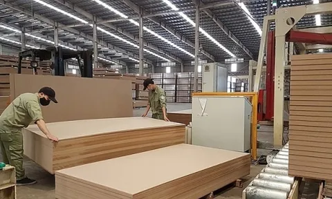 Chuyển 48 hồ sơ doanh nghiệp trung gian bán hàng cho doanh nghiệp gỗ hoàn thuế GTGT sang cơ quan công an