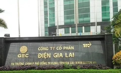 Điện Gia Lai: Tài sản toàn nợ, thêm án phạt thuế