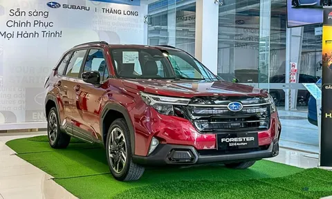 Subaru Việt Nam nói gì về đợt triệu hồi lỗi cửa sổ trời trên Forester?
