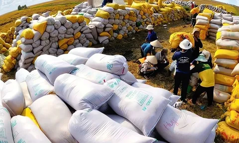 Vinafood 2: Bao lâu nữa mới ‘xóa sổ’ khoản lỗ gần 2.800 tỷ đồng?