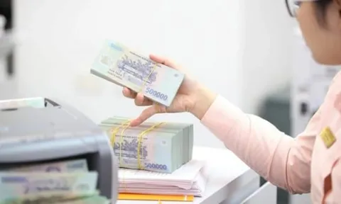 Tân Cảng, VPD, Nam Long đồng loạt chia cổ tức, Novaland thưởng cổ phiếu