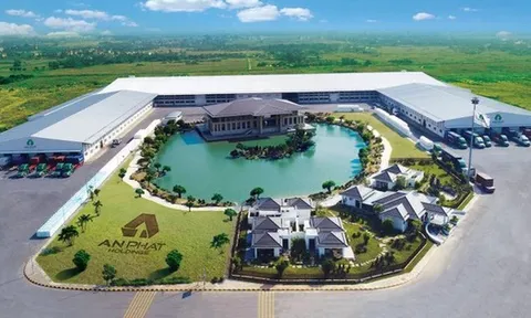 An Phát Holdings đăng ký mua 6 triệu cổ phiếu AAA, nâng tỷ lệ sở hữu lên hơn 42%