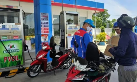Xăng dầu Tân Nhật Minh nợ thuế lớn nhất Hải Phòng với hơn 73 tỷ đồng
