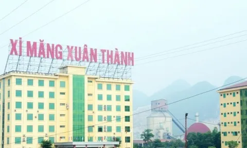 Xi măng Xuân Thành: Khối tài sản tỷ đô được tạo nên chủ yếu từ 16.000 tỷ nợ phải trả