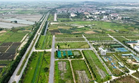 Hà Nội: Sắp đấu giá 72 lô đất, giá từ 6,3 triệu đồng/m2