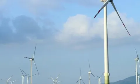 2 "ông lớn" ngân hàng cùng siết nợ một công ty tuabin điện gió