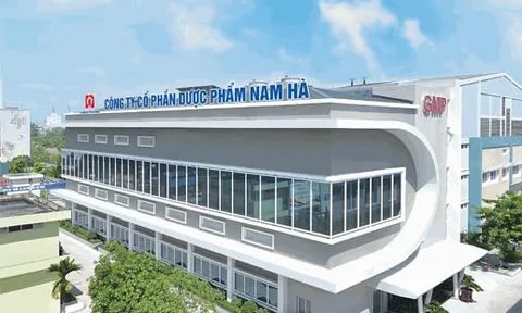 Dược phẩm Nam Hà vừa nhận án phạt: Top 5 công ty đông dược, thu nghìn tỷ mỗi năm