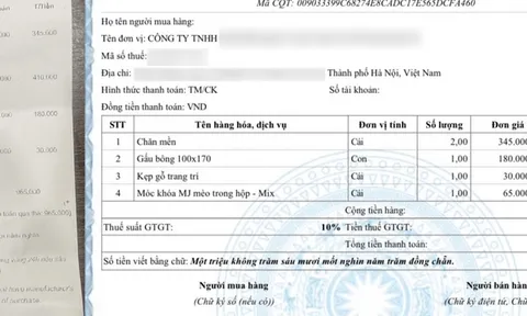 Hà Nội: Mập mờ việc xuất hóa đơn GTGT của một số hệ thống bán lẻ nổi tiếng