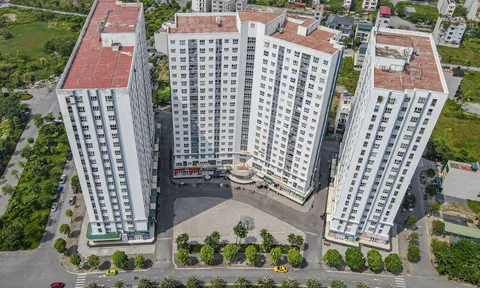 'Nhà ông Thản' ở hơn 10 năm tăng giá 50%, lương bao nhiêu mới mua được chung cư Hà Nội?