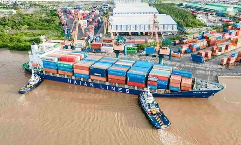Khối ngoại mạnh tay chốt lời, cổ phiếu HAH trượt dài khỏi vùng đỉnh