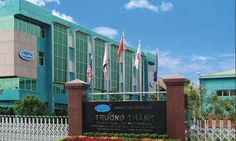 Bán chui cổ phiếu nhận từ nhà sáng lập, Gỗ Trường Thành nói gì?