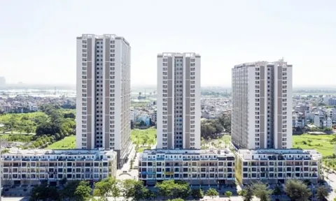 Hà Nội chỉ đạo kiểm tra dấu hiệu trục lợi tại dự án nhà ở xã hội tại Thanh Trì