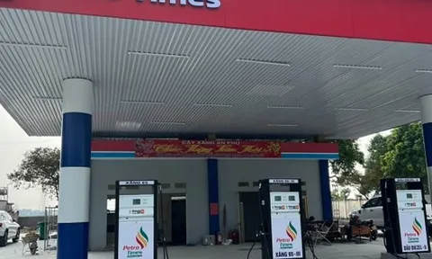 15 triệu cổ phiếu PPT sắp niêm yết trên HNX, Petro Times "máu mặt" thế nào?