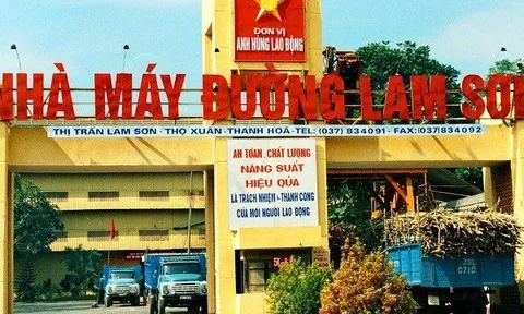 Bức tranh tài chính của "ông lớn" ngành mía đường xứ Thanh
