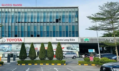 Vì sao Toyota Long Biên bị cấm tham gia đấu thầu 6 tháng?