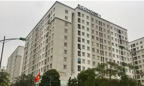 Hà Nội ban hành loạt chính sách hỗ trợ cho dự án nhà ở xã hội cho thuê