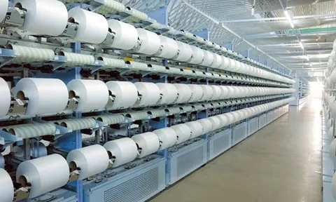 Cổ phiếu Sợi Thế Kỷ thủng đáy 5 năm, chưa thể hái quả ngọt từ ‘át chủ bài’ Unitex