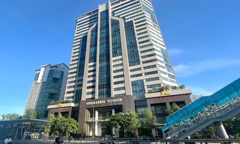 Xuân Cầu Holdings chi hơn 250 tỷ đồng mua gần 15% vốn Viwaseen