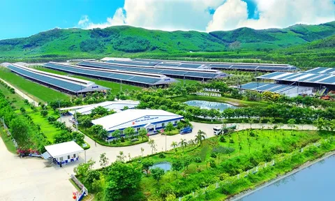 Hệ sinh thái ‘Net Zero’ đã vượt ra ngoài những trang trại xanh của Vinamilk
