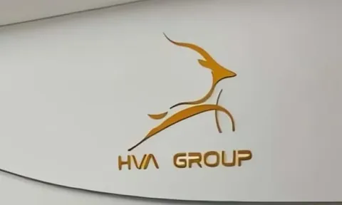 HVA bị hạn chế giao dịch, kiểm toán chỉ rõ nhiều dấu hiệu rủi ro
