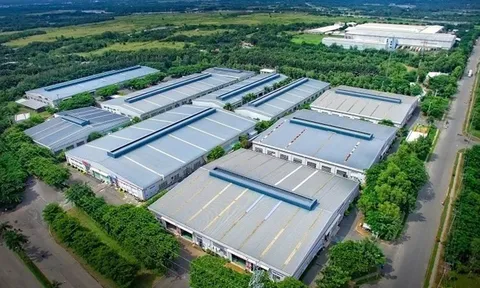 Chính phủ gia hạn thời gian nộp thuế và tiền thuê đất năm 2024