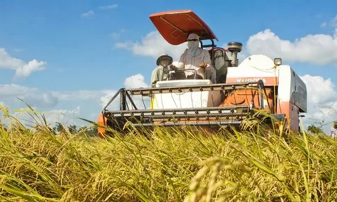 Hợp tác xã được vay tối đa 5 tỷ không cần tài sản bảo đảm