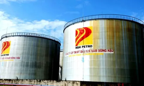 Khoanh tiền nợ thuế hơn 1.480 tỷ đồng của Dầu khí Nam Sông Hậu