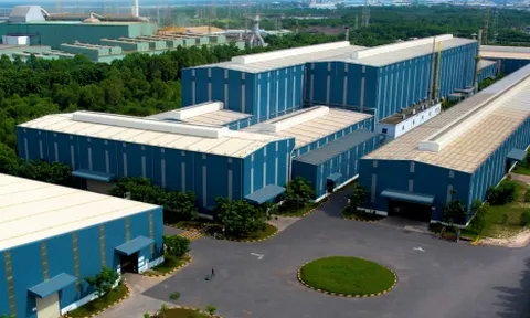 Pomina tái cấu trúc lại cơ cấu doanh nghiệp sau thua lỗ