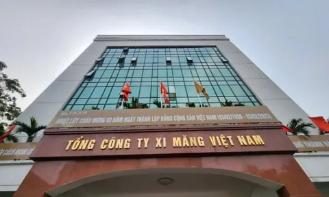 Vicem giảm doanh thu, lỗ hơn 1.000 tỷ đồng