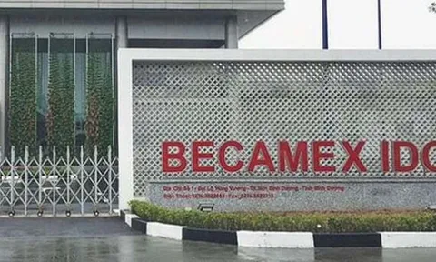 Becamex IDC sắp phát hành thêm 113,85 triệu cổ phiếu để trả cổ tức
