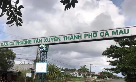 Loạt vi phạm về đất đai tại Công ty Cổ phần Đầu tư - Phát triển Nhà Cà Mau
