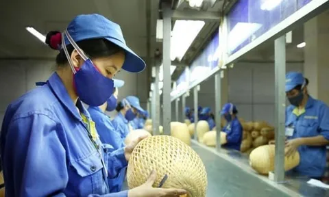 Doanh nghiệp nhỏ và siêu nhỏ có thể được ưu đãi thuế thu nhập doanh nghiệp