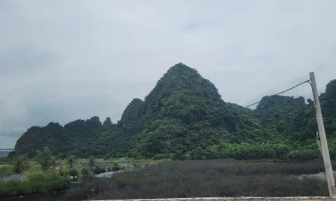 Quảng Ninh: Doanh nghiệp mới khai sinh được 40 ngày ẵm khu đất nghìn tỷ tại Cẩm Phả