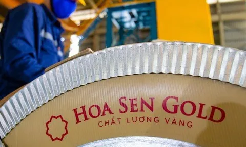 Quỹ ngoại Dragon Capital tích cực "gom hàng" tại Hoa Sen Group