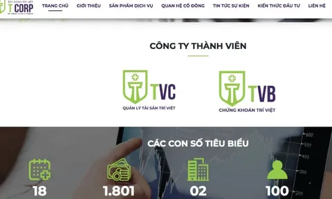 Tập đoàn Quản lý tài sản T-Corp nối dài chuỗi kinh doanh thua lỗ