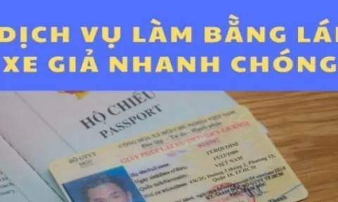Mua – bán bằng lái xe giả: Chế tài xử phạt chưa đủ mạnh