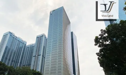 Thực hiện 2 thương vụ M&A tỷ đô la, Viva Land chỉ chi... 1,5 tỷ đồng
