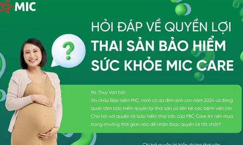 Top 10 Công ty Bảo hiểm Phi nhân thọ uy tín năm 2023