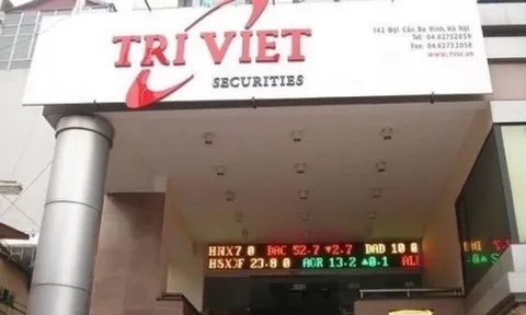 Tập đoàn Quản lý tài sản Trí Việt lỗ nặng sau kiểm toán