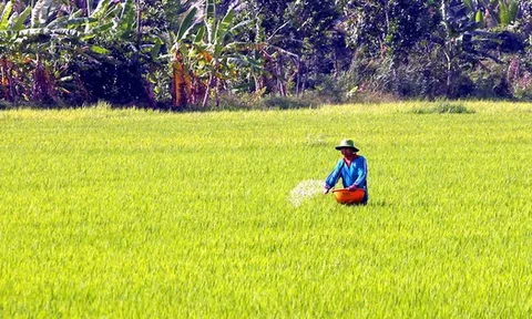 Phân bón không chịu thuế GTGT - khi nào lợi, khi nào thiệt?