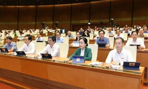 Đà Nẵng được thành lập khu thương mại tự do với nhiều ưu đãi về thuế, phí