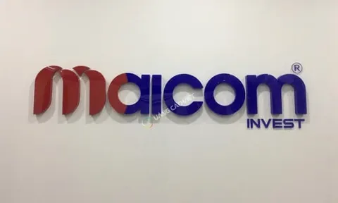 Chi cục Thuế khu vực XVI, Maicom Invest, cưỡng chế thuế