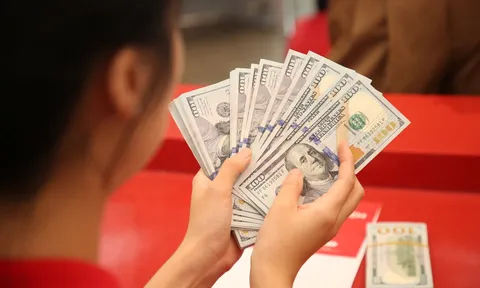 Giá USD tự do lập đỉnh mới, vượt mốc 26.000 đồng