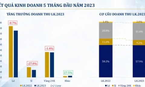 Doanh thu và lợi nhuận PNJ giảm, cổ phiếu cũng giảm giá