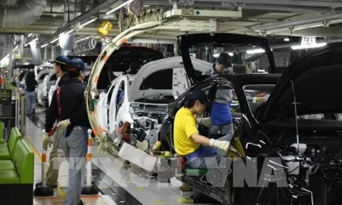Công ty con của Toyota vi phạm luật chống độc quyền