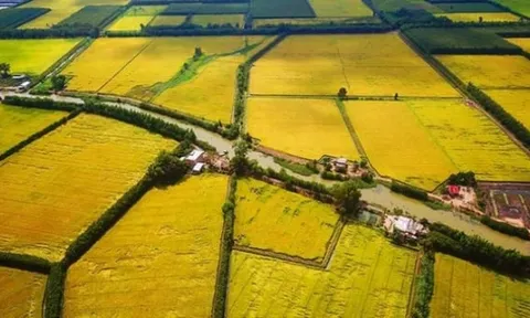 Đề nghị kéo dài thời hạn miễn thuế sử dụng đất nông nghiệp đến hết năm 2030