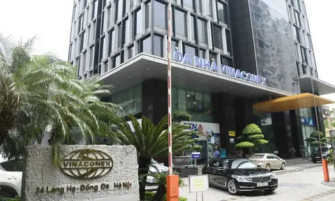Vinaconex thoái vốn tại dự án Cát Bà Amatina, giá tối thiểu 5.140 tỷ đồng
