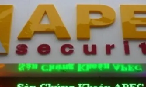 Nhóm Apec Group thay chủ tịch HĐQT mới sau vụ thao túng thị trường chứng khoán