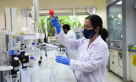 Bộ ba vàng vô cơ – hữu cơ – sinh học của Phú Mỹ - PVFCCo