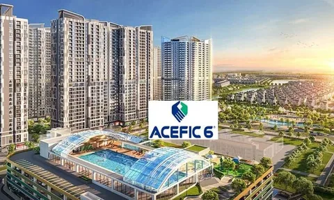 ACE 6 Việt Nam bị đối tác 'tố' chây ì công nợ nhiều năm